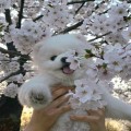 겨울*****_썸네일
