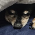 가드*****_썸네일