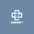 WiseSoft 프로필