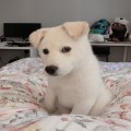 of*****_썸네일