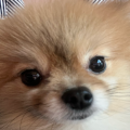 손******_썸네일