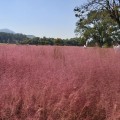 브리지KC 프로필