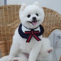 gr*****_썸네일