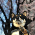 따스*****_썸네일