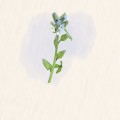 슈민*****_썸네일