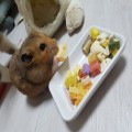 햄스*****_썸네일