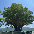 빌리*****_썸네일