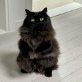 박유*****_썸네일