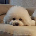 K3*****_썸네일