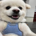 매크*****_썸네일
