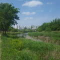 K4*****_썸네일