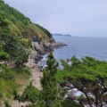 라임*****_썸네일