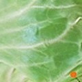투투*****_썸네일