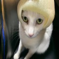 꿈꾸*****_썸네일