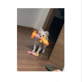 달콤*****_썸네일