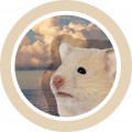 Mminㅣspace 프로필