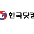 한국*****_썸네일
