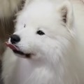 사모*****_썸네일