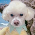 크리*****_썸네일