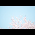 마******_썸네일