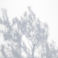 eu*****_썸네일