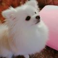 셀러*****_썸네일