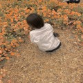 채꾸 프로필