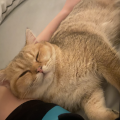 메이*****_썸네일