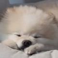 신교*****_썸네일