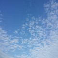 K6*****_썸네일