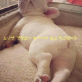 K1*****_썸네일