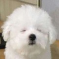 Gl*****_썸네일