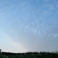 꼬******_썸네일