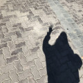 Sh*****_썸네일