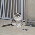오늘*****_썸네일