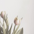 LO*****_썸네일