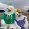 CN*****_썸네일