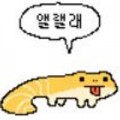해맑*****_썸네일