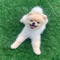 LU*****_썸네일