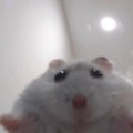 영웅*****_썸네일