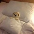 더리*****_썸네일