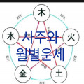 복순이 프로필