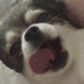 K8*****_썸네일