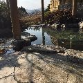 캐리*****_썸네일
