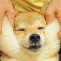 섹쉬*****_썸네일