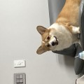 UI*****_썸네일