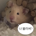 짱쌘*****_썸네일