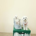 K8*****_썸네일