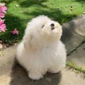 허기*****_썸네일