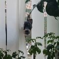 로고비니 프로필
